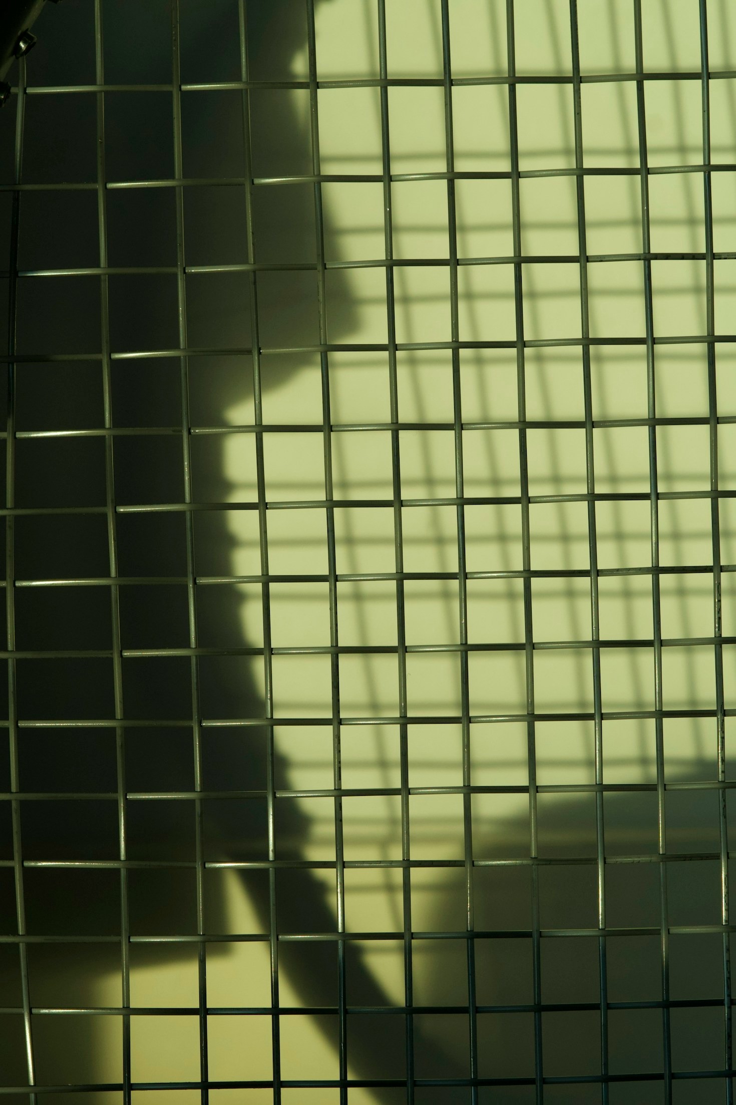 Why Grids Are Essential For Modern Artists